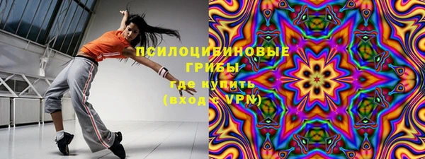 молекула духа Алексин