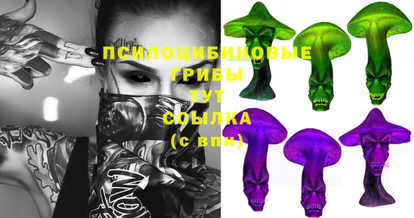 молекула духа Алексин