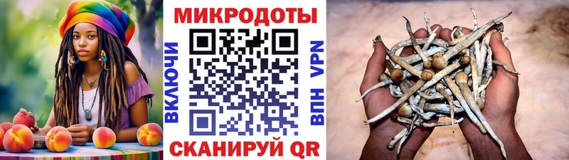 Псилоцибиновые грибы ЛСД  Бакал 